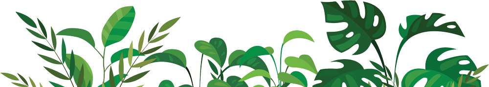 Illustration of various green tropical leaves, including monstera and palm fronds, on a transparent background. Evoking the tranquil essence of nature, this artwork is reminiscent of a serene therapy oasis amidst the bustling landscape of NYC, with lush shades creating a vibrant appearance.