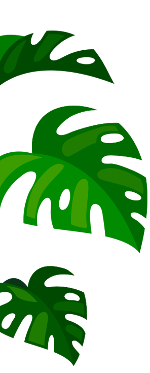 Illustration of three overlapping green monstera leaves on a dark green background, reminiscent of a calming therapy space. The stylized, flat design with various shades of green creates a layered effect, evoking the serene urban greenery often found in NYC.