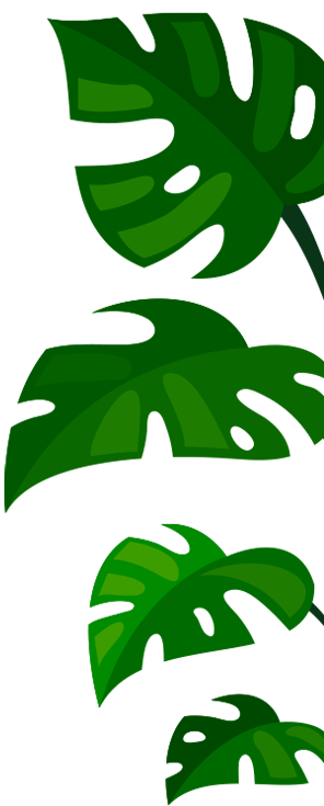 Stylized illustration of overlapping green monstera leaves on a dark green background, reminiscent of a tranquil therapy space in NYC. The leaves are arranged diagonally, creating a layered visual effect.