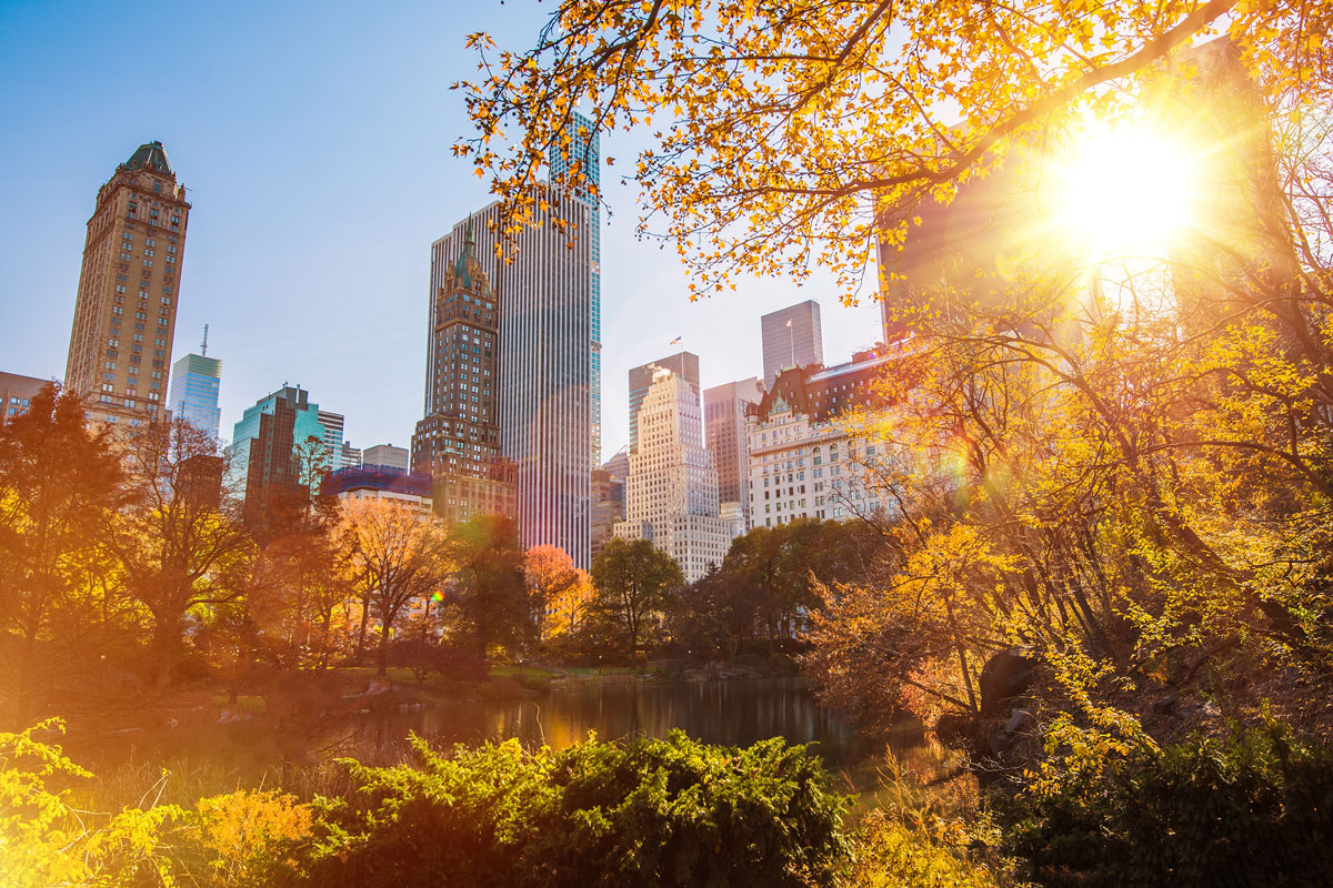 Sunlit view of NYC's skyline with tall buildings under a clear blue sky. The foreground features autumn trees and greenery, the sun casting a warm glow through the leaves, offering a therapeutic and vibrant atmosphere.